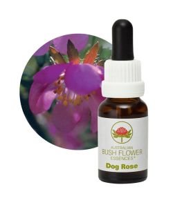 Dog Rose, 15 ml